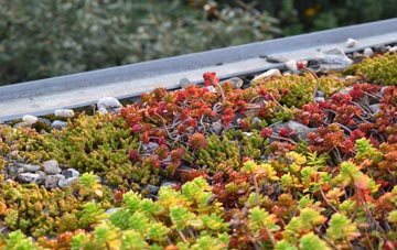 the cost of Little Thurrock green roof installation