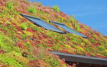 Little Thurrock living roof systems